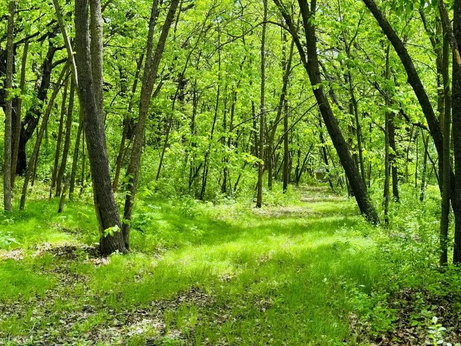 Lot 4 Canterbury Sands Trail, Battle Lake, MN 56515 - #3