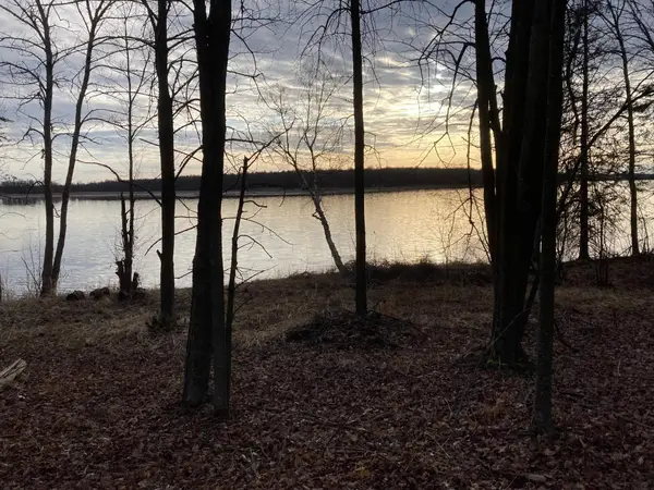 TBD 24th Avenue Ne, Remer, MN 56672