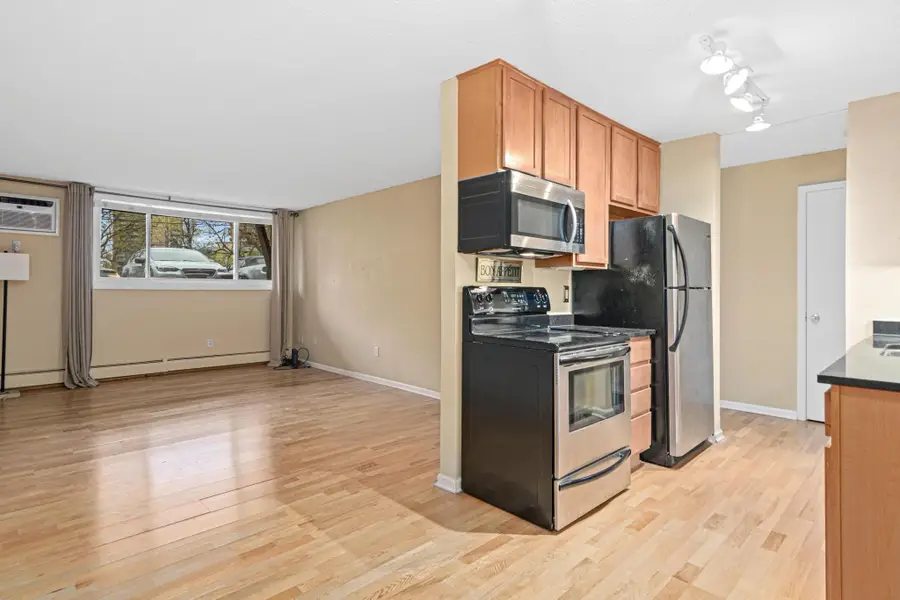 520 Ridgewood Avenue #3, Minneapolis, MN 55403 - #3