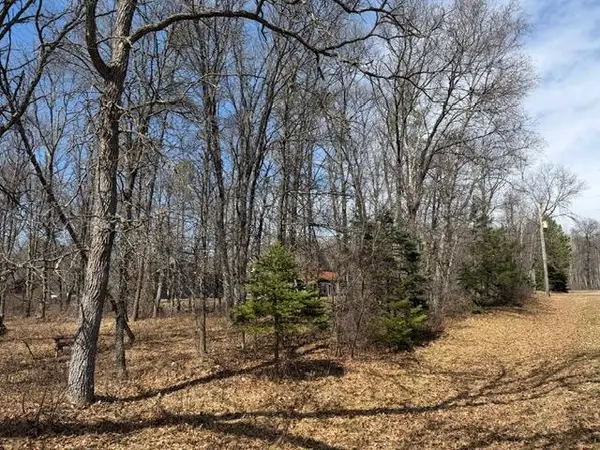 0 Sugarloaf Road, Crosslake, MN 56442