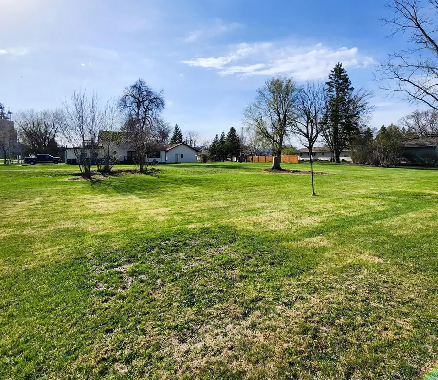 602 E Willow Avenue, Olivia, MN 56277 - #3