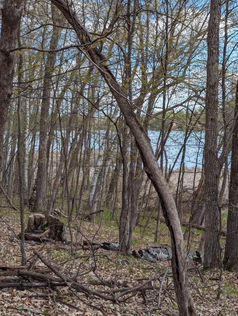 TBD Paradise Drive, Browerville, MN 56438 - #1