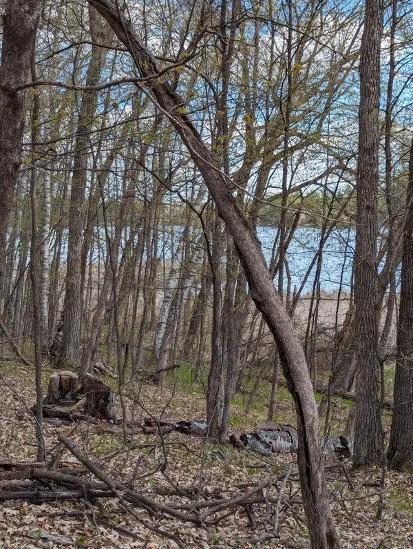 TBD Paradise Drive, Browerville, MN 56438