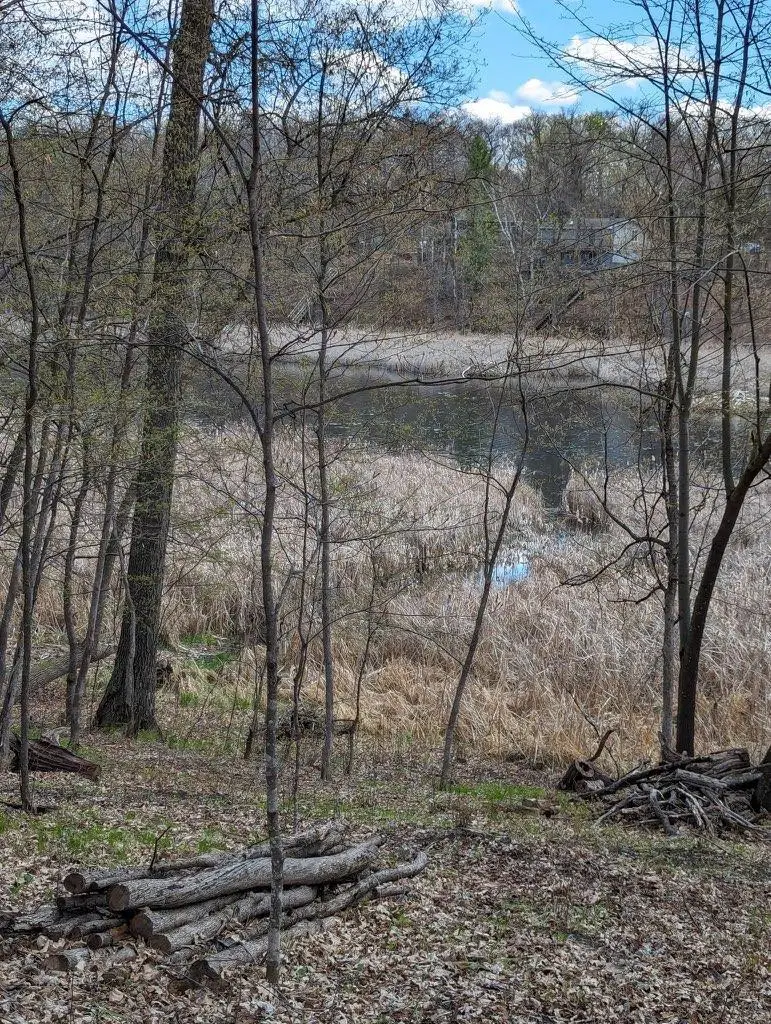 TBD Paradise Drive, Browerville, MN 56438 - #3