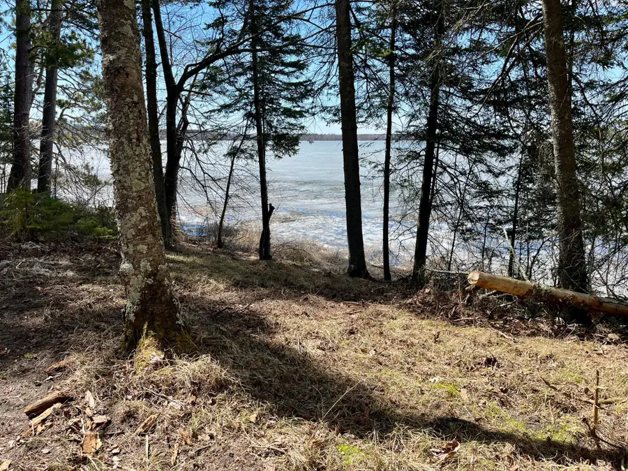 37150 N Courage Dr. (lot 1), Lake George, MN 56458 - #3
