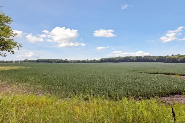 24x2 Holy Name Drive, Medina, MN 55340