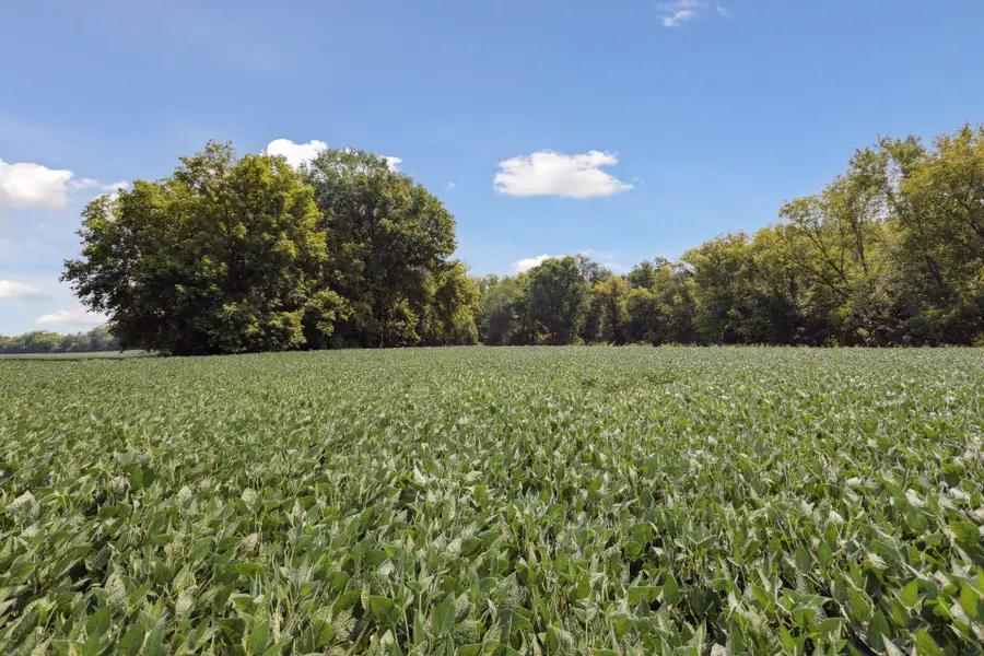 24x2 Holy Name Drive, Medina, MN 55340 - #3