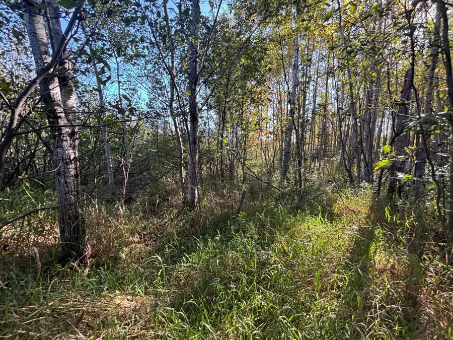 XXX Garfield Street, Cloquet, MN 55720 - #2