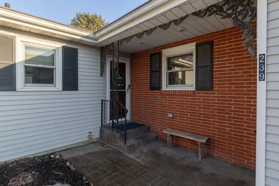 239 W Kinne Street, Ellsworth, WI 54011 - #3