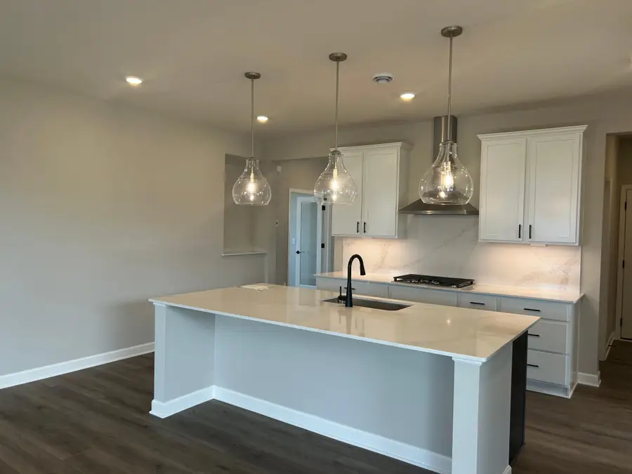 20145 Ginseng Way, Lakeville, MN 55044 - #3