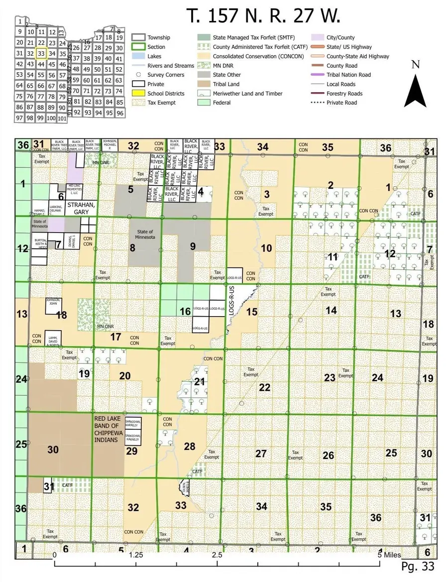 TBD Fiero Truck Trail, Northome, MN 56661 - #3
