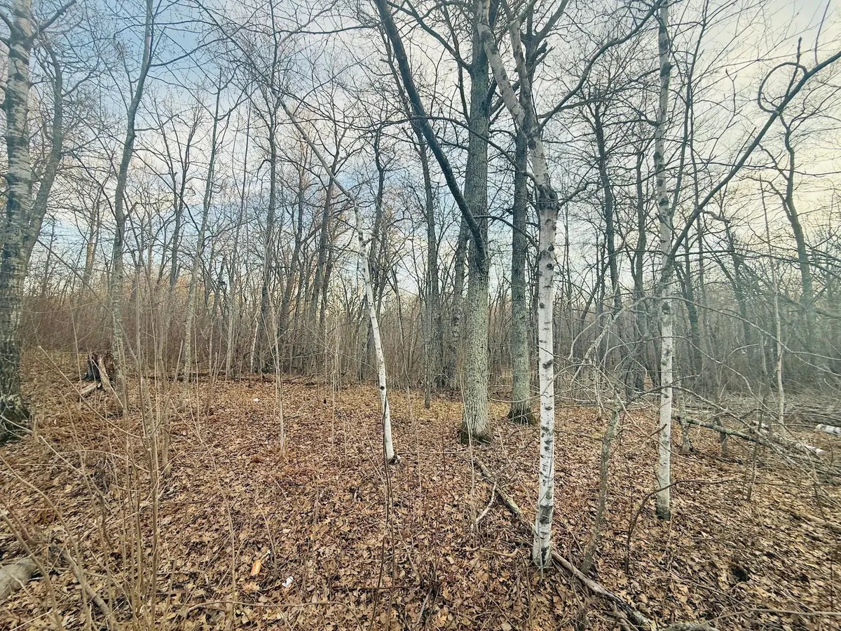 TBD Ringneck Roost, Garrison, MN 56450 - #1