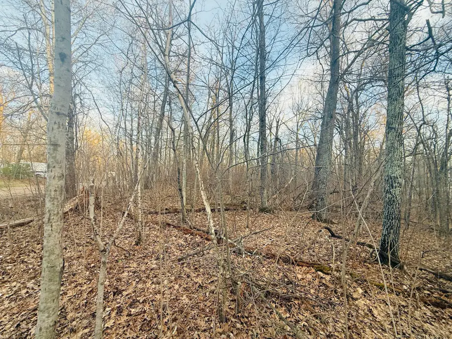 TBD Ringneck Roost, Garrison, MN 56450 - #3