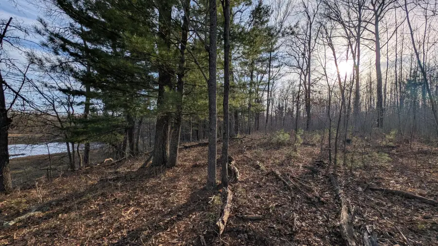 TBD Honkers Hollow, Danbury, WI 54830 - #3