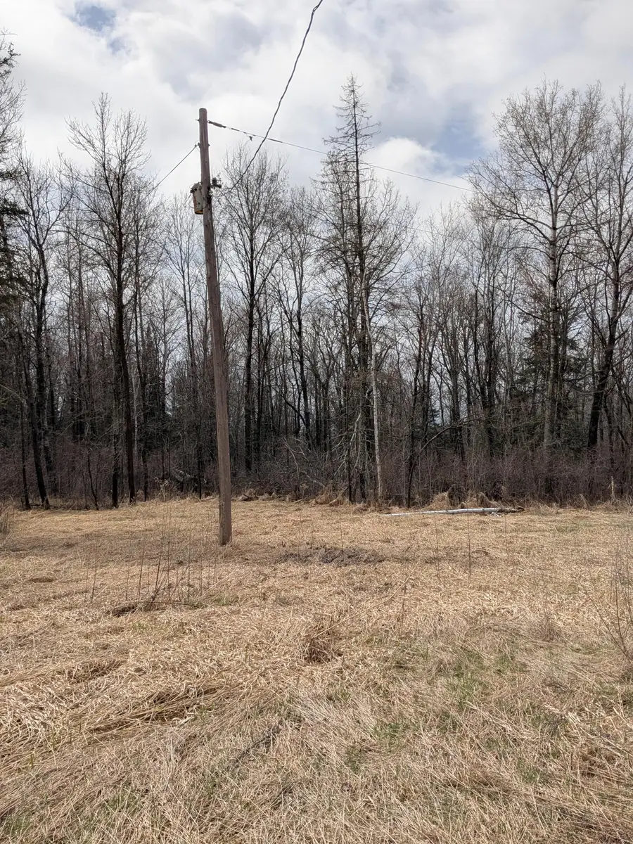 1102 W County Line Road, Tamarack, MN 55787 - #2
