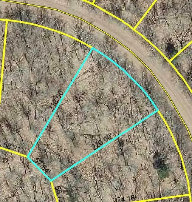 Lot 107 Bridle Trail, Danbury, WI 54830 - #1