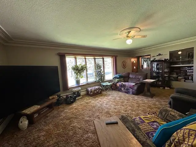 21188 State Highway 65, Goodland, MN 55742 - #3