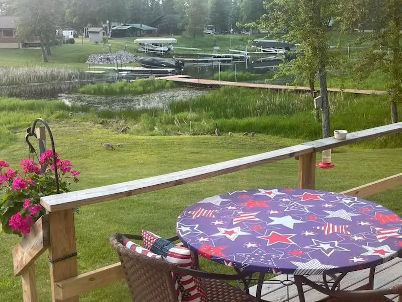 17221 East Pine Drive Nw, Angle Inlet, MN 56711 - #2