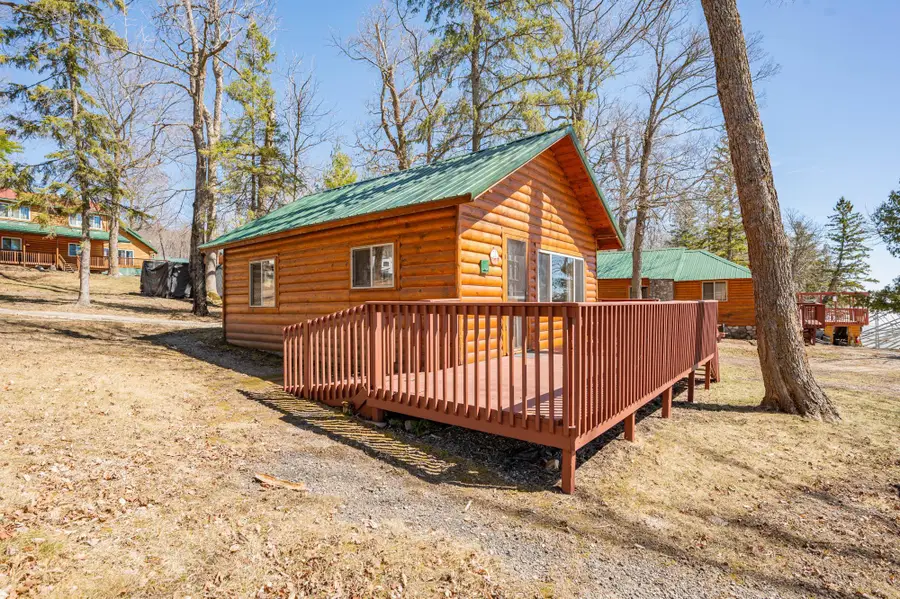 49231 County Road 173 #Cabin 3, Deer River, MN 56636 - #2