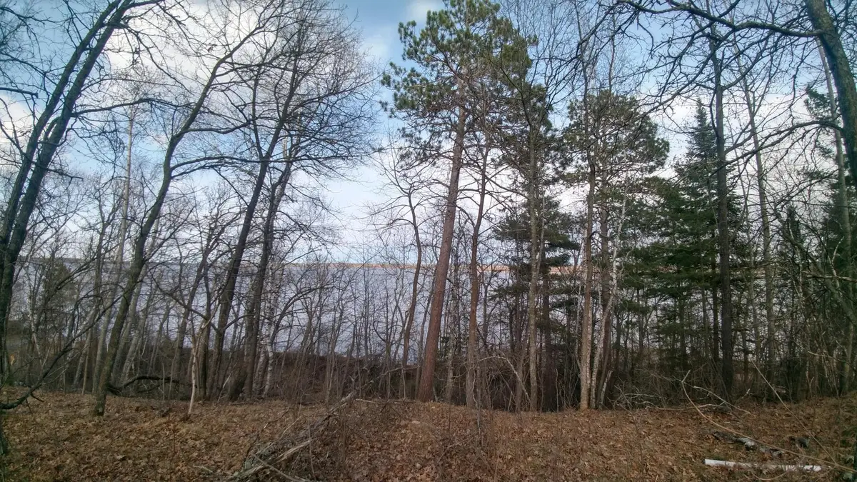 50126 County 29, Bemidji, MN 56601 - #1