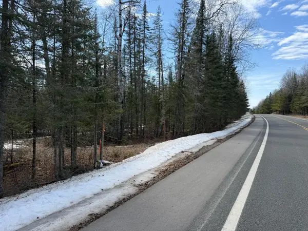96xx Gappa Road, Kabetogama, MN 56669