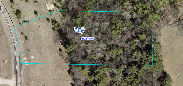 TBD Telemark Trail, Cushing, MN 56443