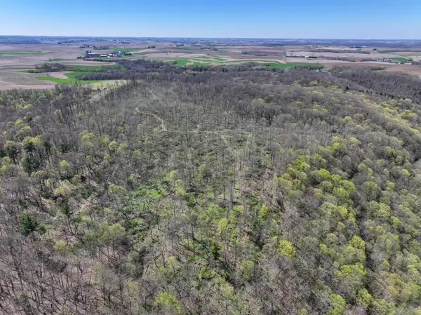 tbd Tierney Drive, Saint Charles, MN 55910