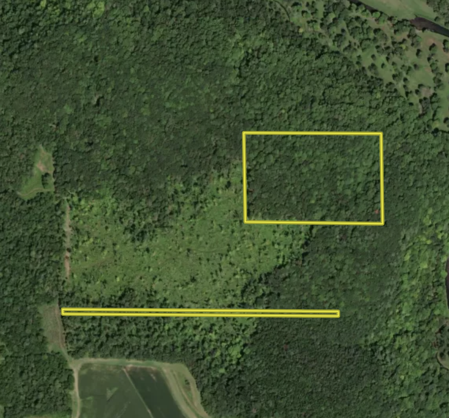 tbd Tierney Drive, Elba, MN 55910 - #2