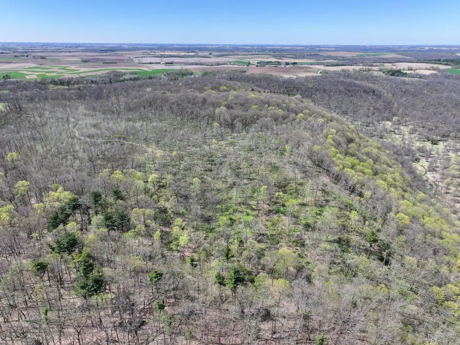 tbd Tierney Drive, Elba, MN 55910 - #3