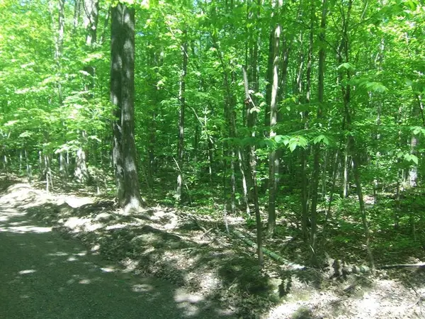 4.85 Acres Joes Road, Conrath, WI 54731