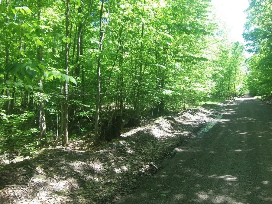 4.85 Acres Joes Road, Conrath, WI 54731 - #2
