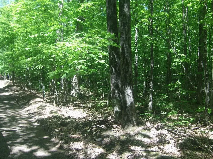 4.85 Acres Joes Road, Conrath, WI 54731 - #3