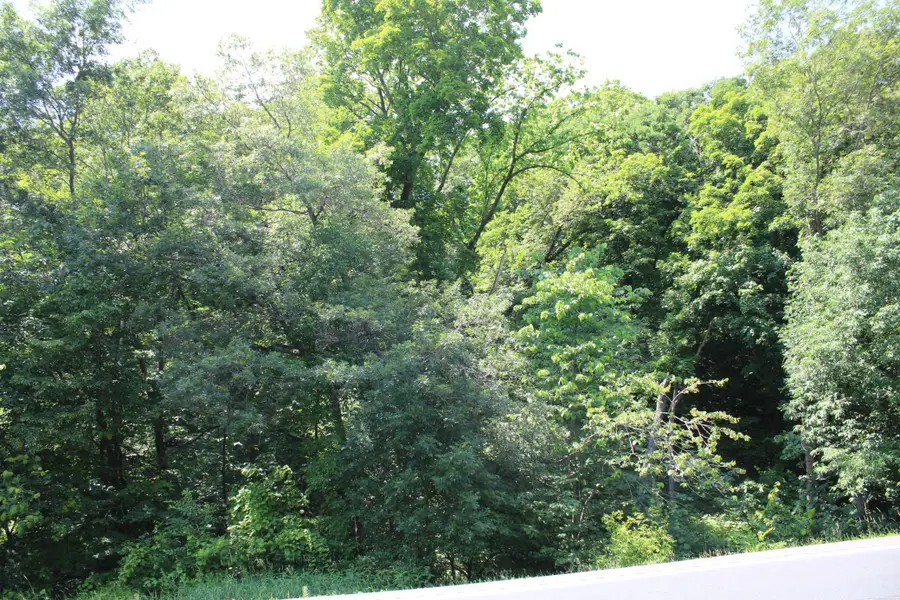 000 St Croix Trail, Taylors Falls, MN 55084 - #3