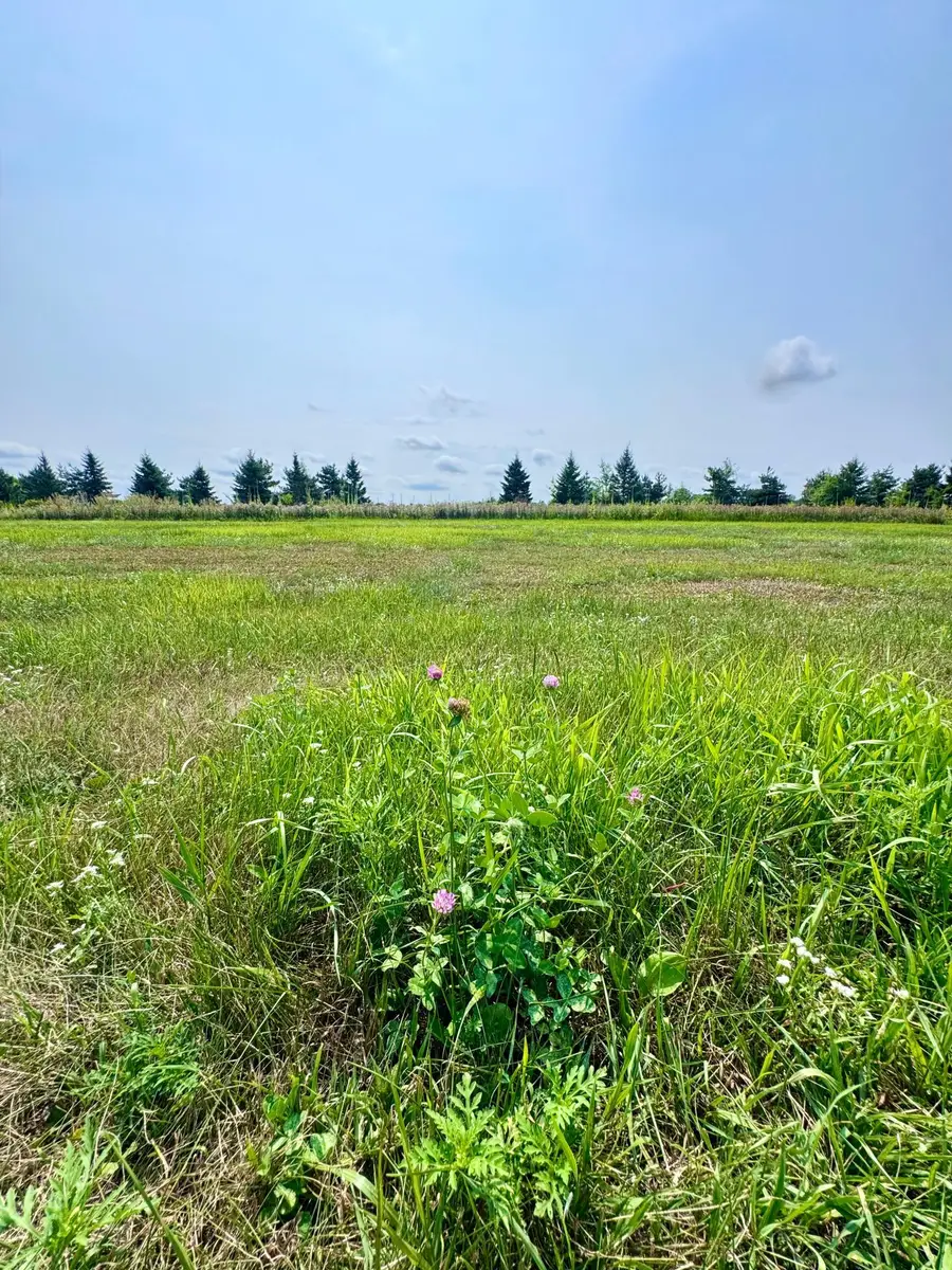 10933 Grand Lake Road, Cold Spring, MN 56320 - #3