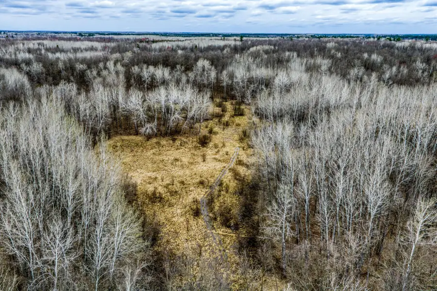 13217 Beaver Road Ne, Bemidji, MN 56601 - #2