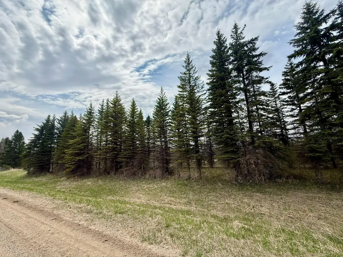 XXX 245th Ave, Glenwood, MN 56334 - #1