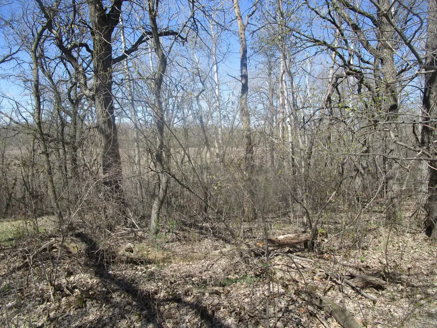 TBD Burgen Terrace Se, Alexandria, MN 56308 - #3