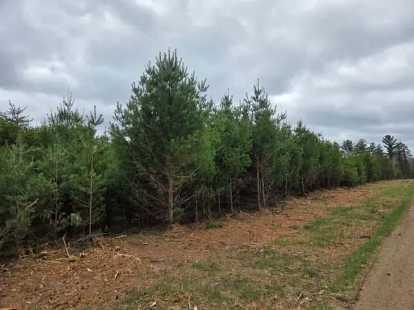 TBD 450th St - Parcel A, Laporte, MN 56461