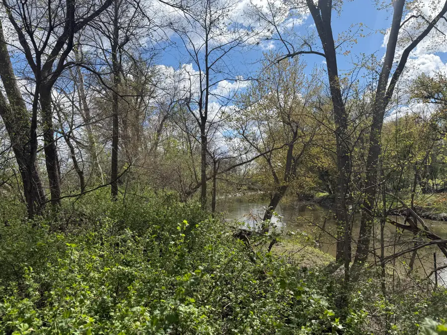 20.5 Acres Land Section 24, Springfield, MN 56087 - #3