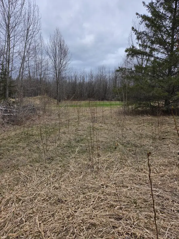 TBD Lampi Road, Cohasset, MN 55721