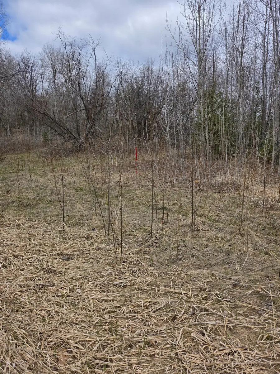 TBD Lampi Road, Cohasset, MN 55721 - #2