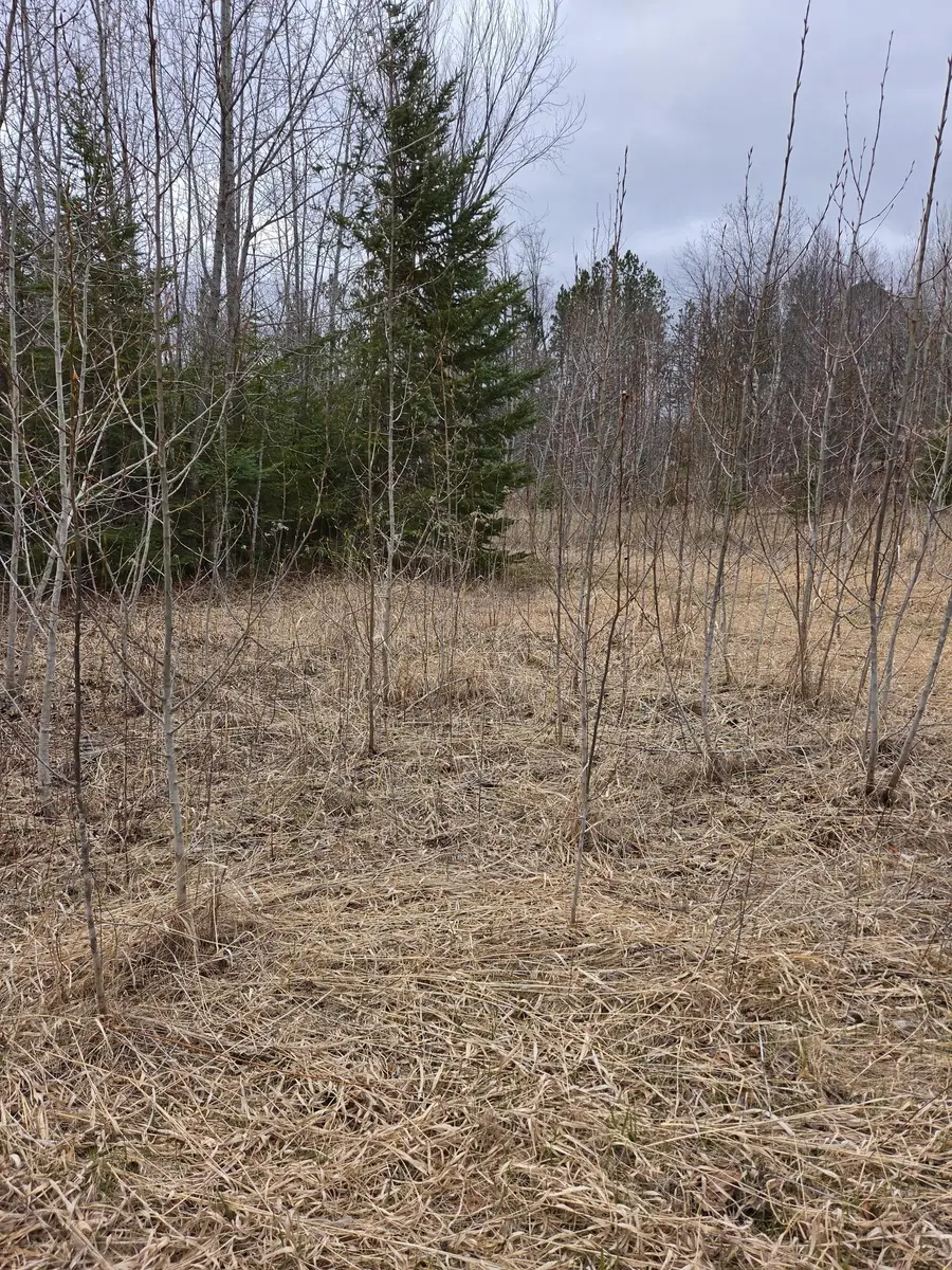 TBD Lampi Road, Cohasset, MN 55721 - #3