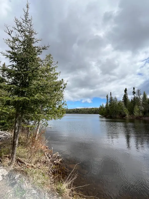 100 Wilderness Trail, Hovland, MN 55606