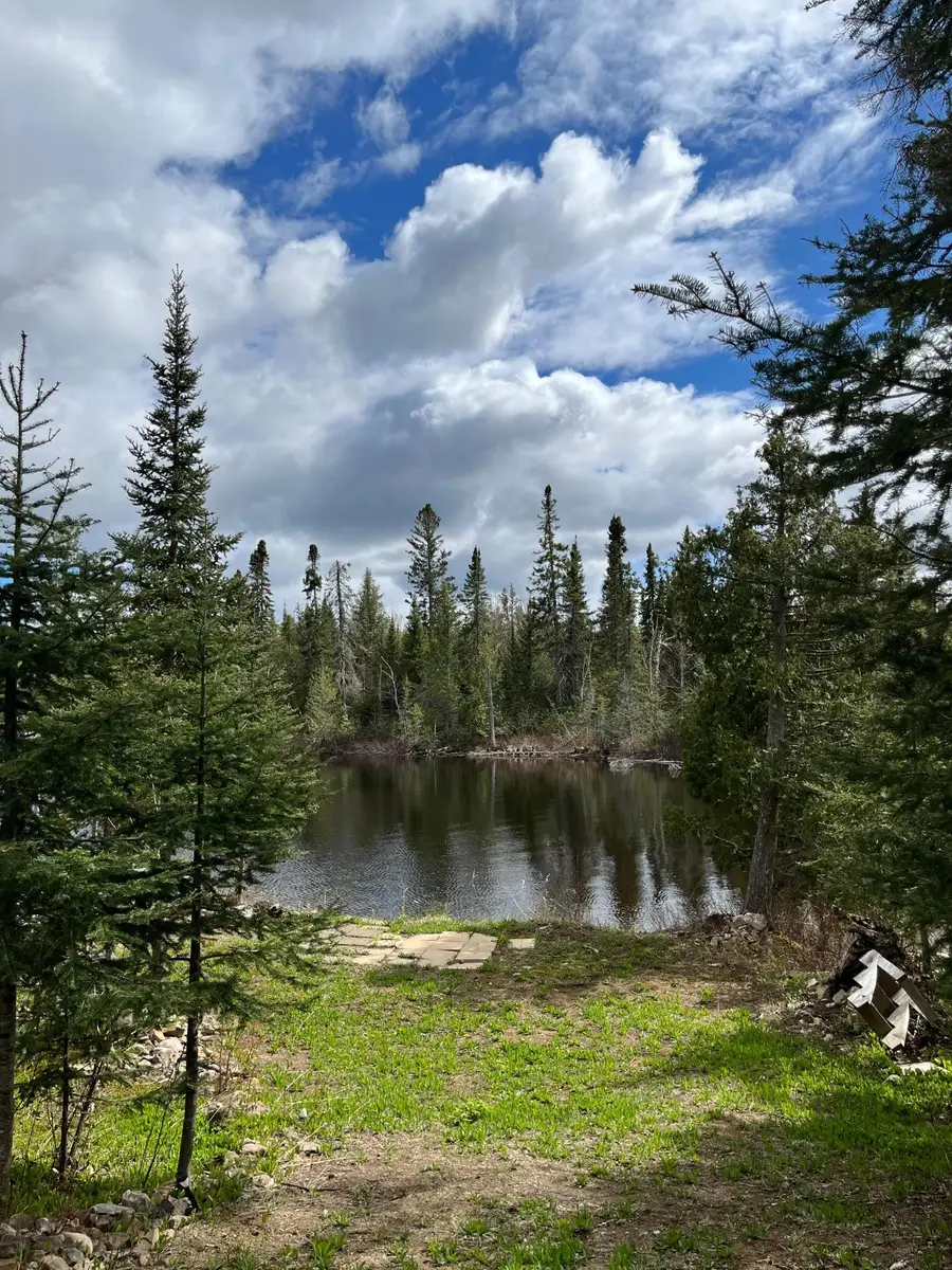 100 Wilderness Trail, Hovland, MN 55606 - #2