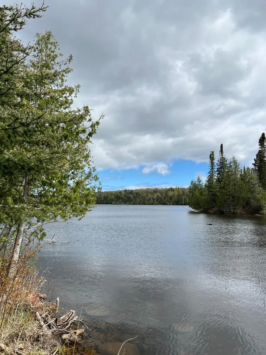 100 Wilderness Trail, Hovland, MN 55606 - #3