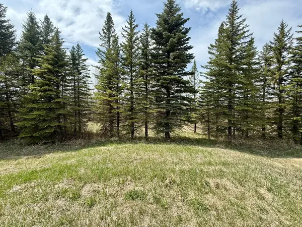 16025 245th Avenue, Glenwood, MN 56334