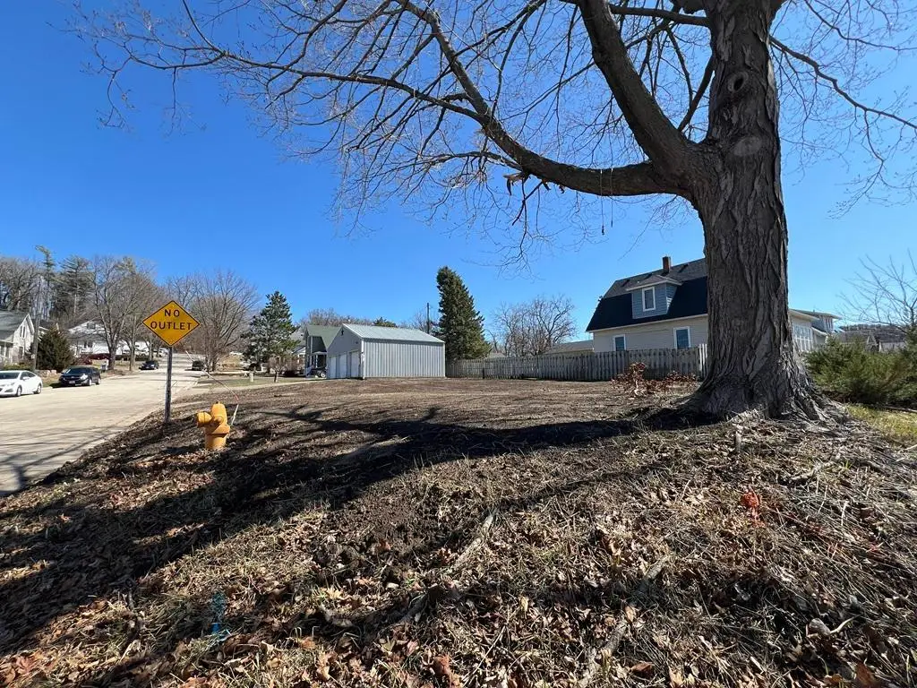 703 Jefferson Street, Red Wing, MN 55066 - #1