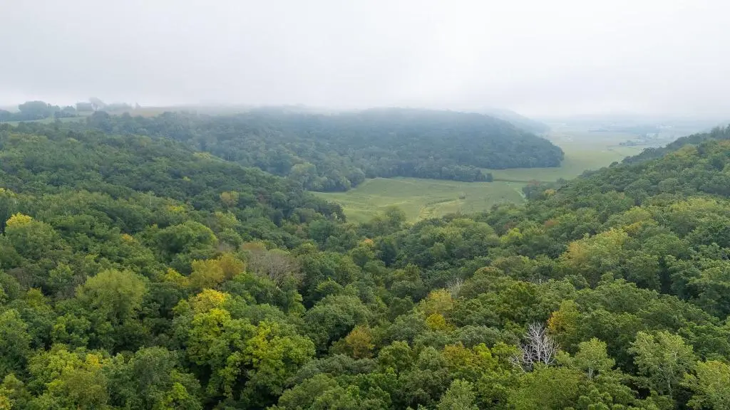 TBD (Lot 4) Goat Back Road, Pepin, WI 54759 - #1