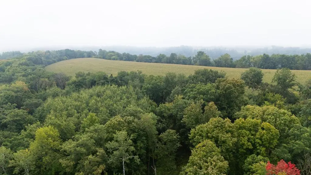 TBD (Lot 3) Goat Back Road, Pepin, WI 54759 - #1