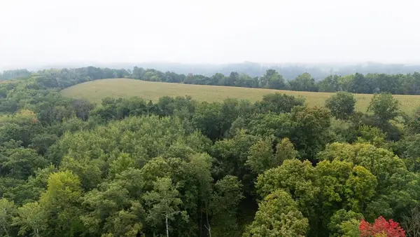 TBD (Lot 3) Goat Back Road, Pepin, WI 54759